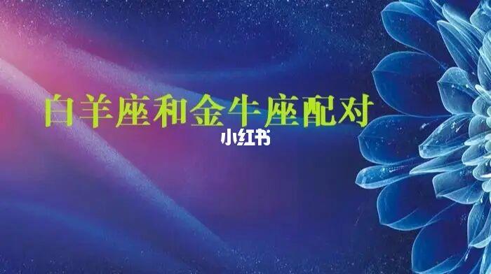 白羊男一区与金牛女一区的星座配对
