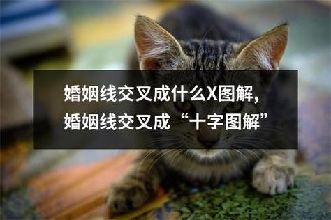婚姻线交叉成X代表什么