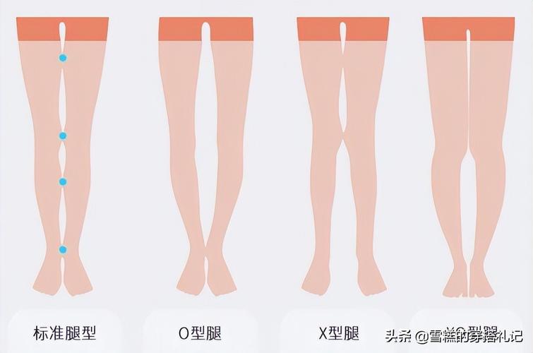 女人腿型的体相解析