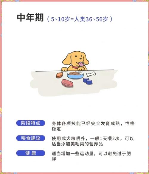 2018年狗年农历初五出生狗宝宝好命吗?一生无忧吗?