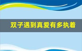 双子遇到真爱有多执着