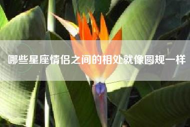 哪些星座情侣之间的相处,就像圆规一样?