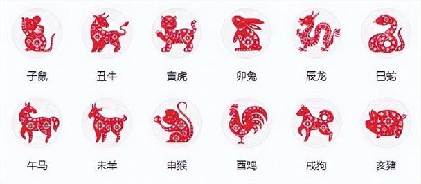 2021年什么生肖最旺龙,需要避开什么属相