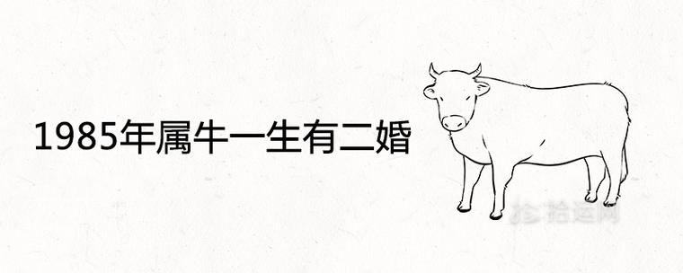属牛男得知女票是二婚选择坚持or放弃