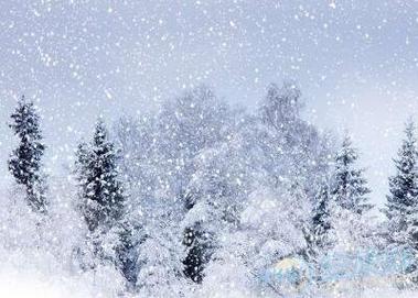 梦见在雪地