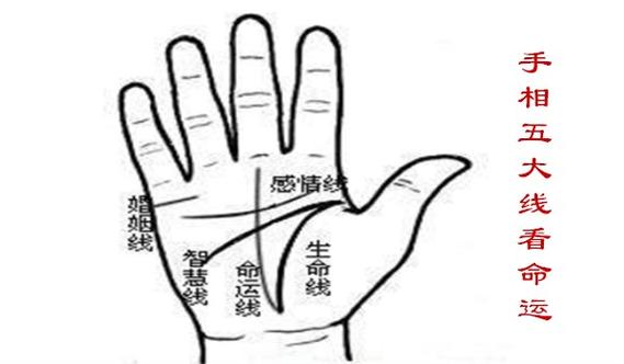为什么不能随便看手相