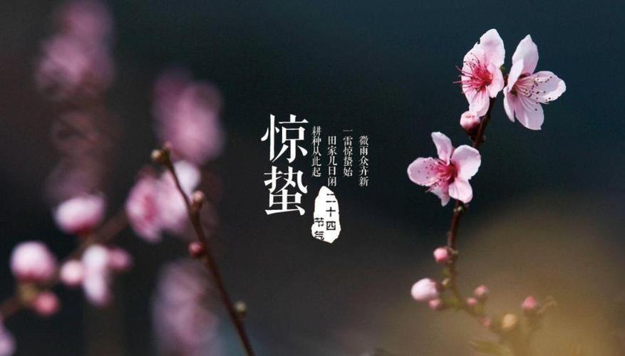 属马惊蛰节气出生的人是什么命?命运好不好?