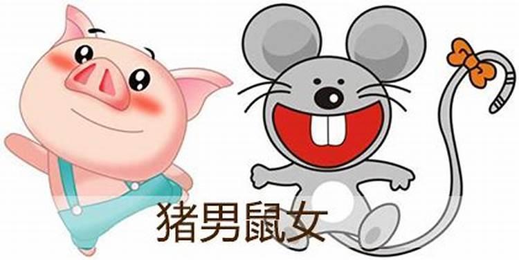 属猪和属鼠的合财吗?