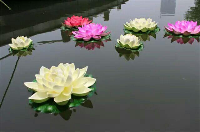 梦见花和水