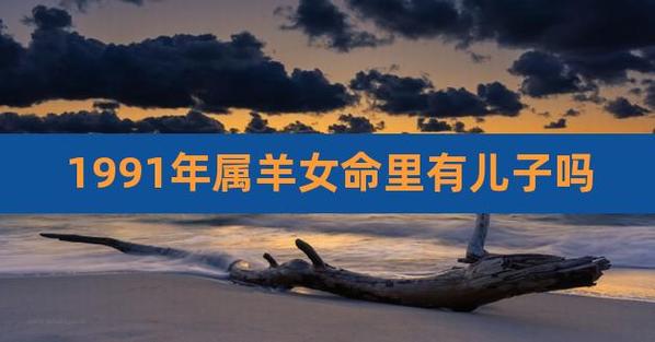 1991年属羊人什么命