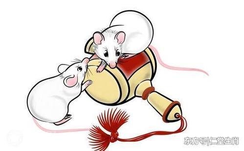 为你解读不同时节出生的属鼠人