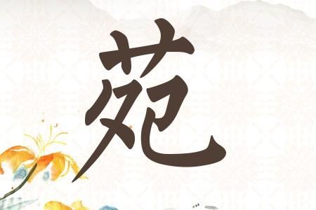 大气响亮的苑姓女孩名字