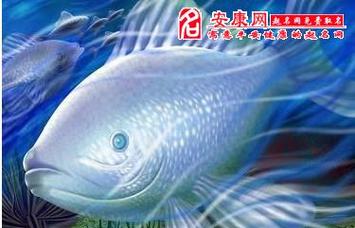做梦梦见大鱼被困,吉凶指数97