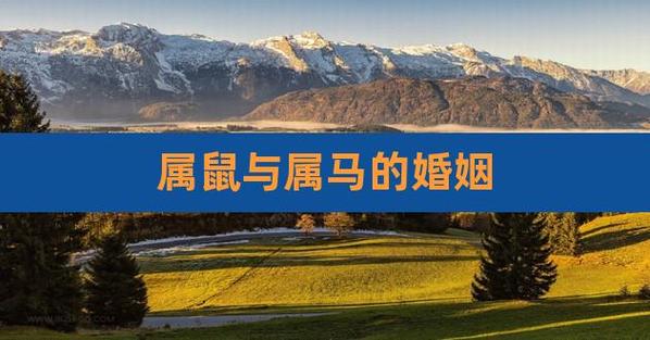 2022年生肖鼠男和属马女可以结婚吗