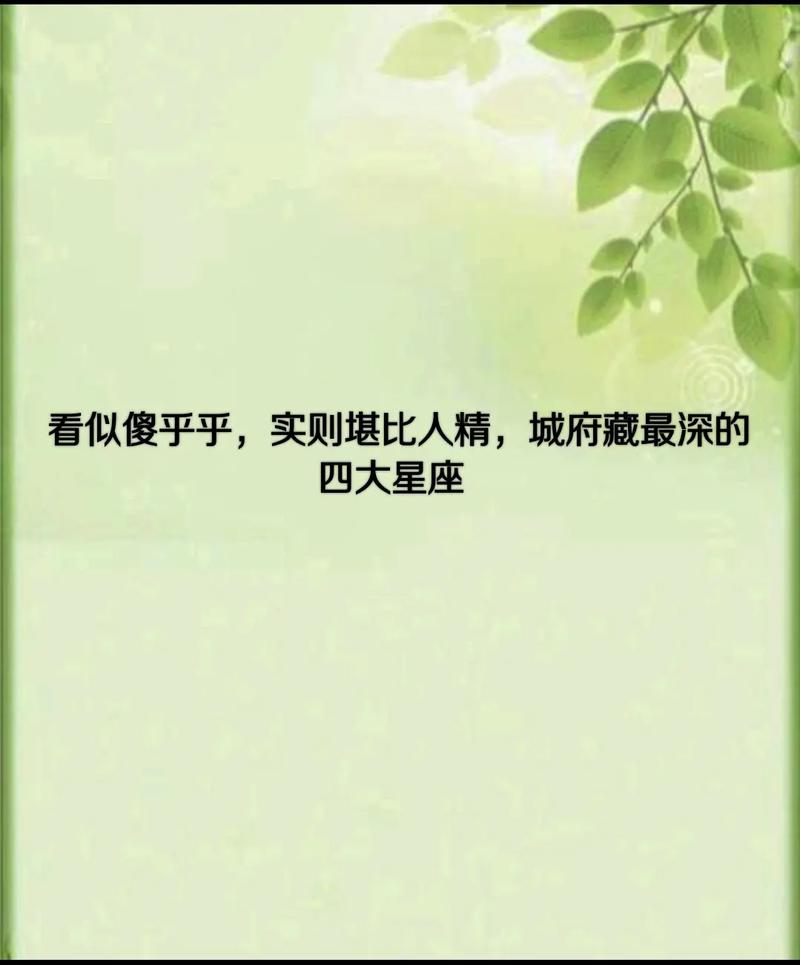 把精明藏得很深的星座