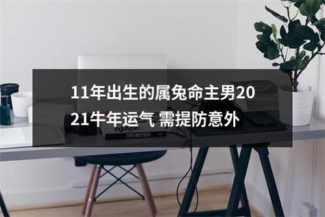 11年出生的属兔命主男2021牛年运气