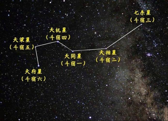 兄弟宫天府星 天府星落在兄弟宫代表什么