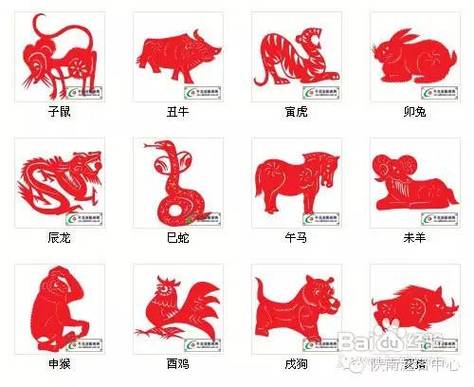 生肖常识 十二生肖排第二的是什么动物?