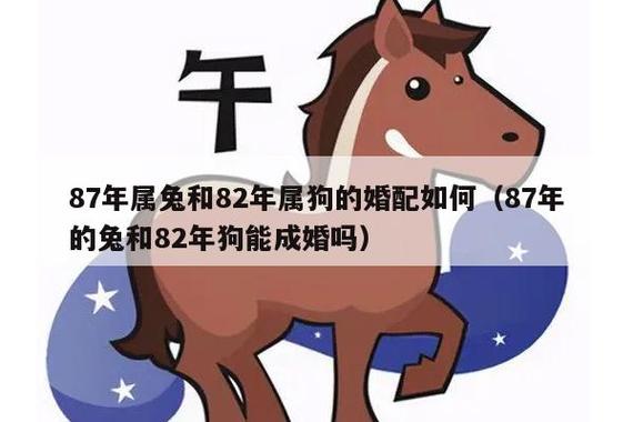 我属兔老婆属狗今年财运如何