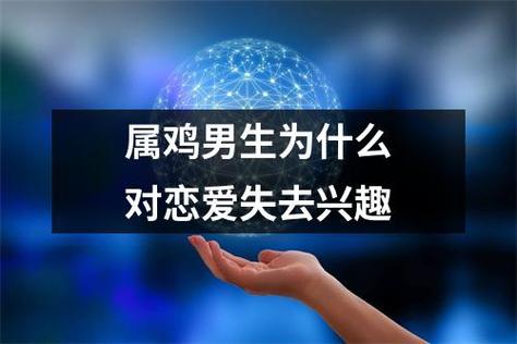 属鸡为什么不喜欢谈恋爱