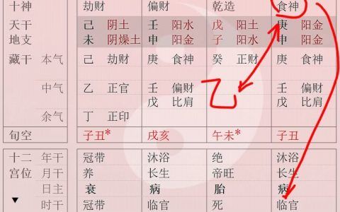 女命八字无官星什么意思