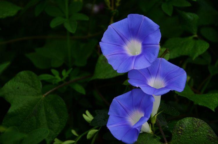 未来30天,意外之财接连不断,桃花如虹,好运不断的3大星座