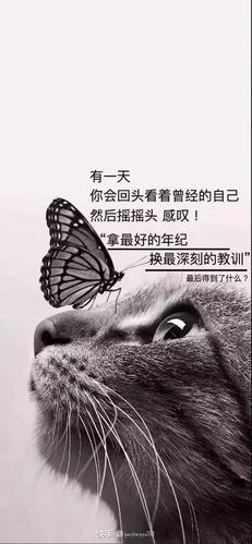 你的自信会因为什么而受到重创