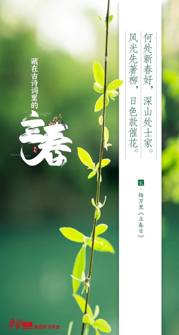 立春本命年躲春必须在家里吗