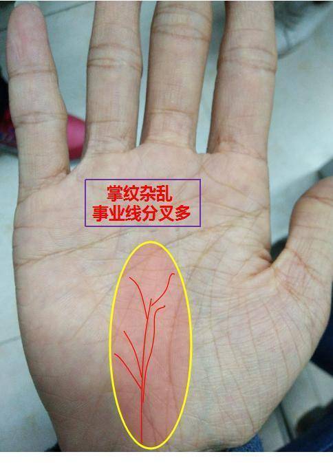 女人3大苦命手相,事业线不明显的女人难赚大钱