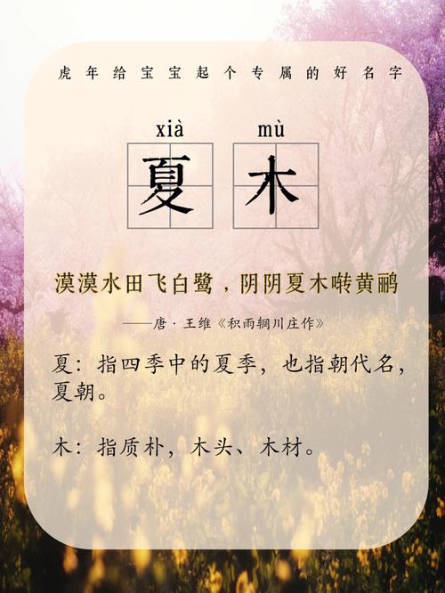 毛雪颖可以给女孩起名吗