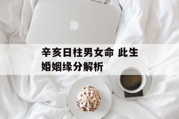 辛亥日柱婚配