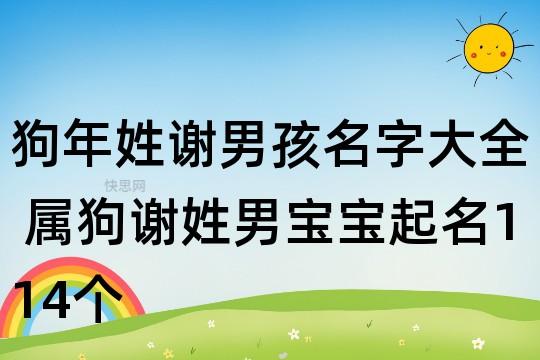 属虎的谢姓男宝宝名字