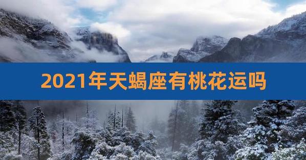 2023年下半年天蝎座桃花运好吗