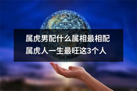 属虎人的最佳配对属相