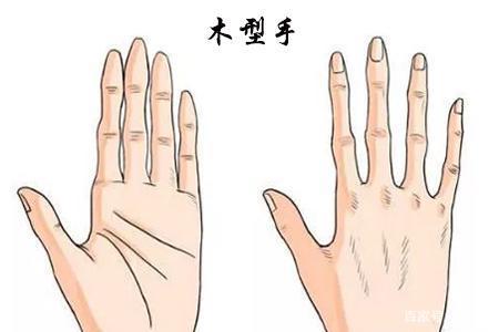 木形手的爱情如何