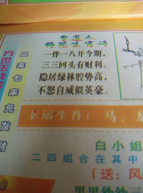 梅花易数这是什么生肖