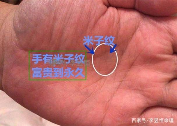 手掌心米字纹 一生钱财不愁