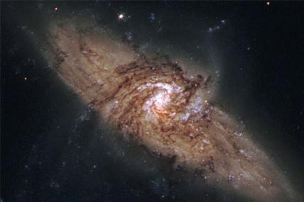 紫微斗数天同星