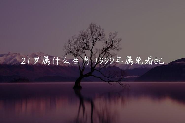 属兔最不利的婚配生肖