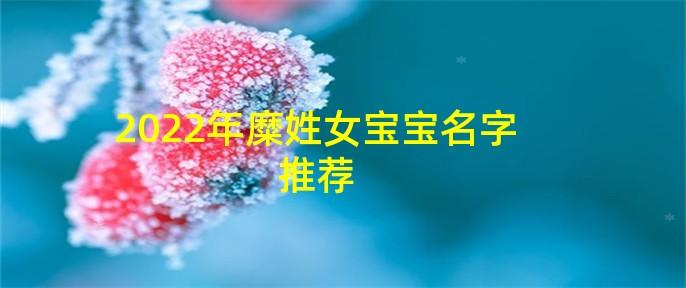 宝宝姓糜取名字
