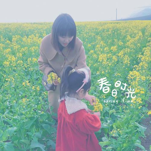 梦见油菜