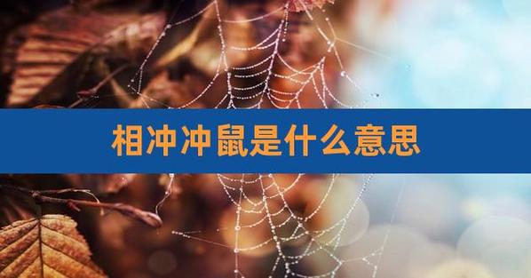 冲鼠是对鼠不好吗
