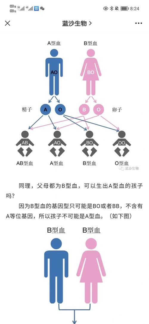 如何正确培养A血型宝宝