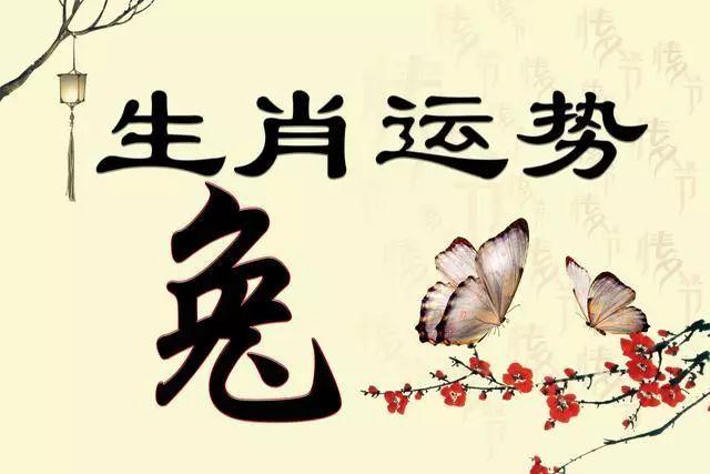 生肖兔的贵人是什么生肖
