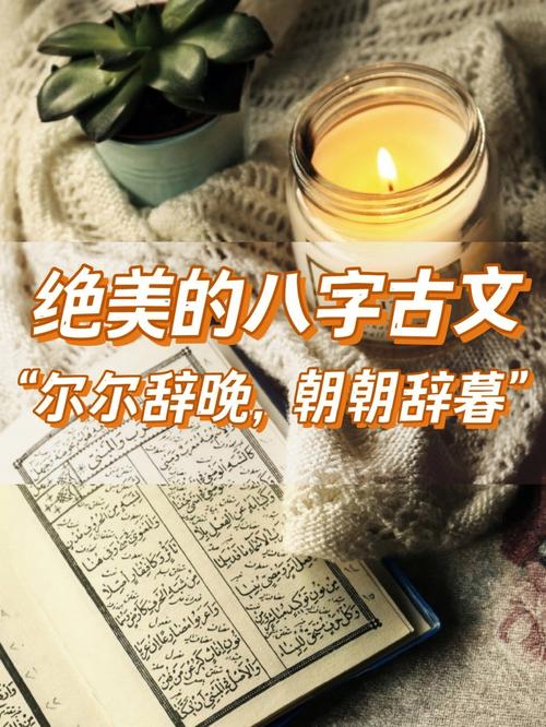 八字有这些特征的人文采出众