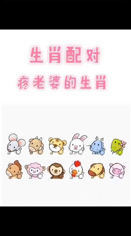 两个属狗的结婚相冲吗