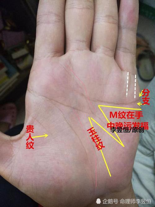 出现困难,手上有这条线必定有贵人相助,逢凶化吉