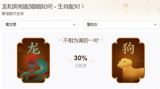 肖龙男和肖狗女的爱情配对定数