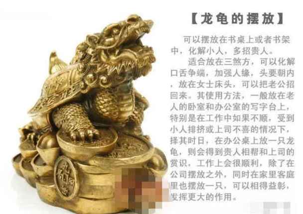 家里请龙龟的八个细节