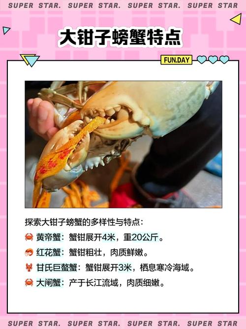 梦见吃鸡翅膀和蟹钳是什么意思